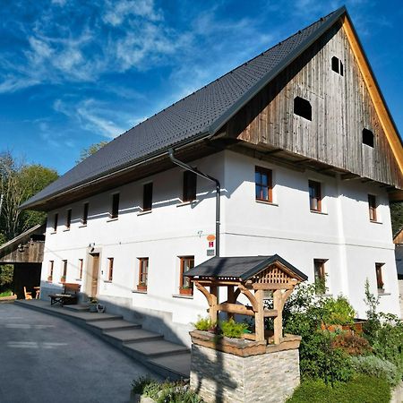 Apartmaji Tina Zgornje Gorje Zewnętrze zdjęcie